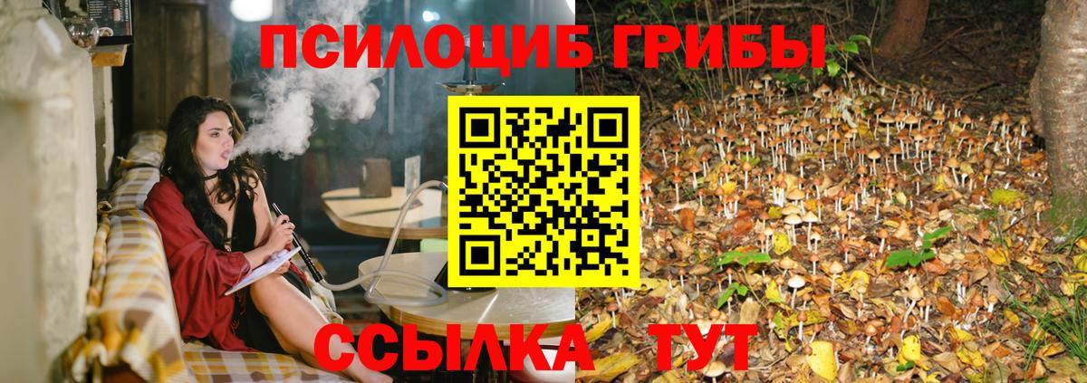 Галлюциногенные грибы прущие грибы  Вход с VPN  Пенза 